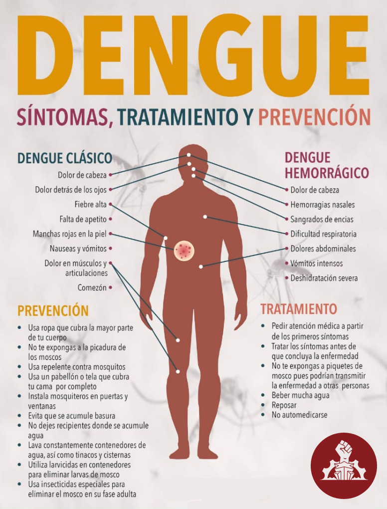 Conozca cuáles son los síntomas del dengue para hacerse un autodiagnóstico  (+ infografías) - Portal del Ciudadano de Moa